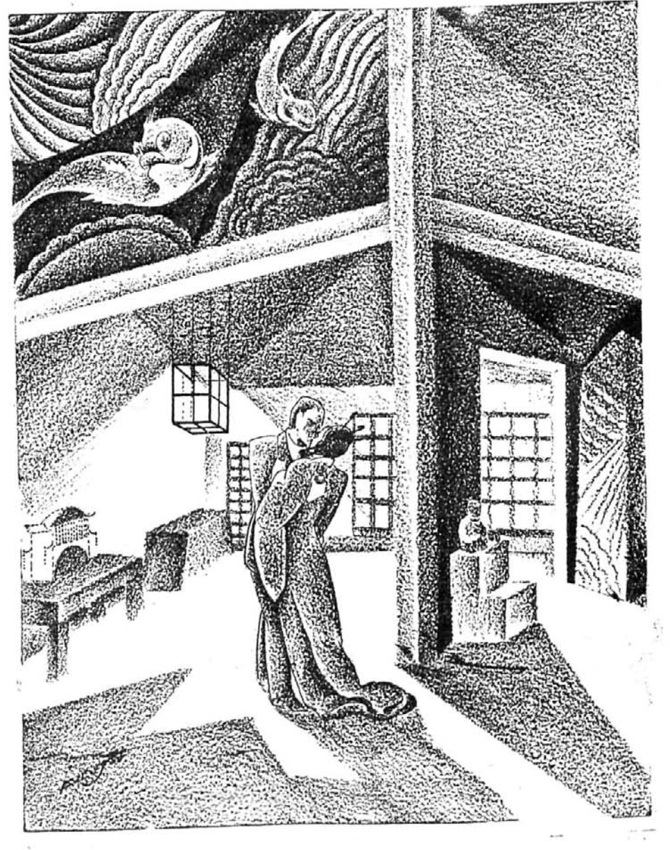 Madame Butterfly por Augusto