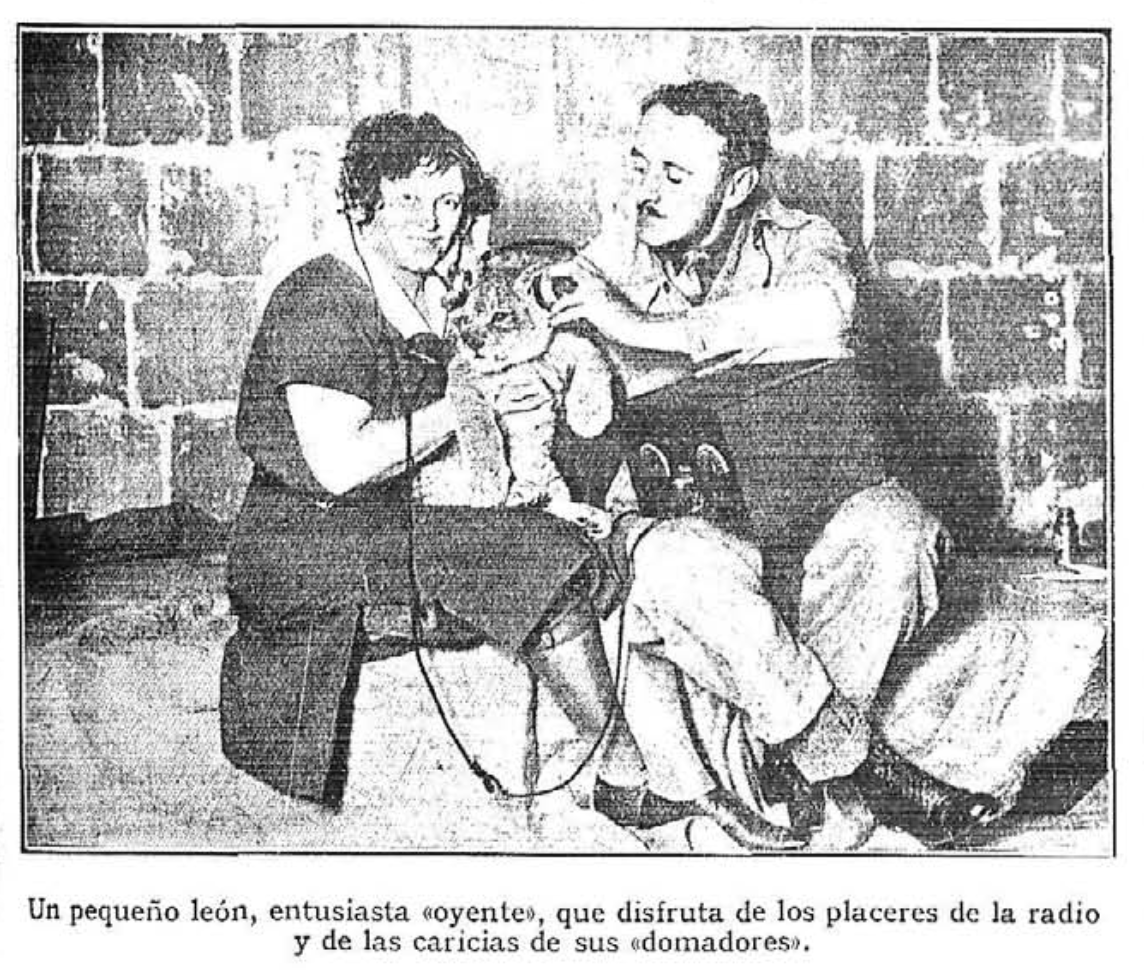 León cachorro escuchando concierto