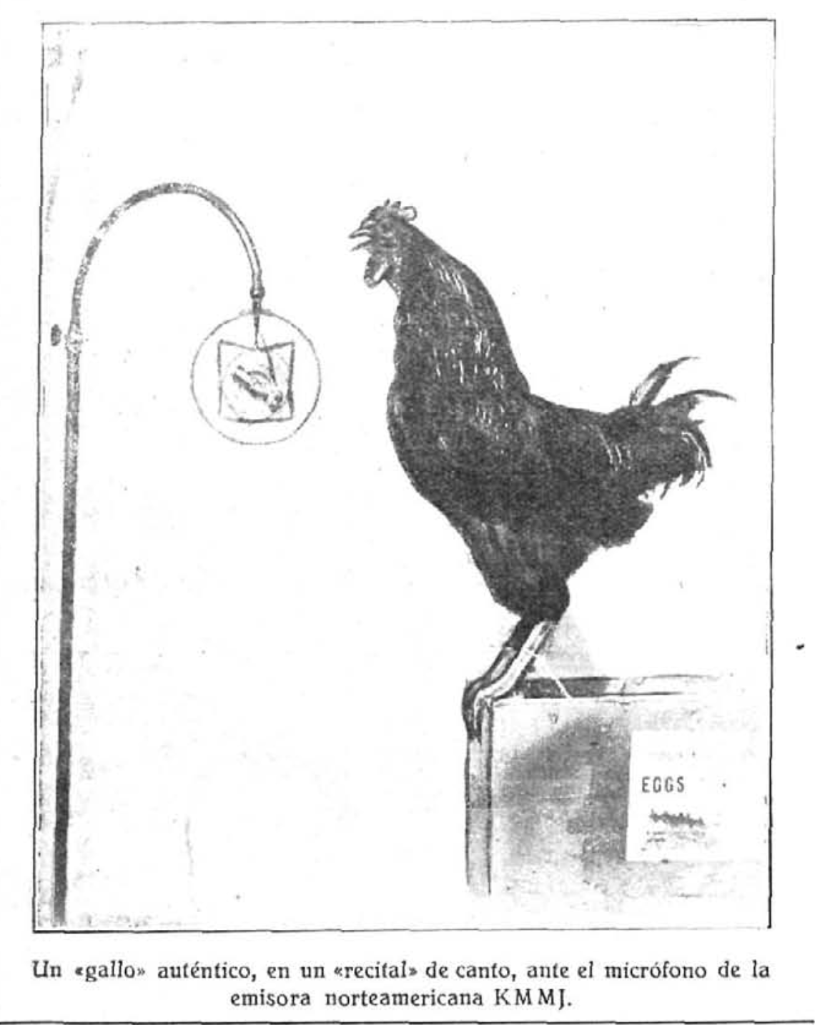 Gallo auténtico en recital de canto