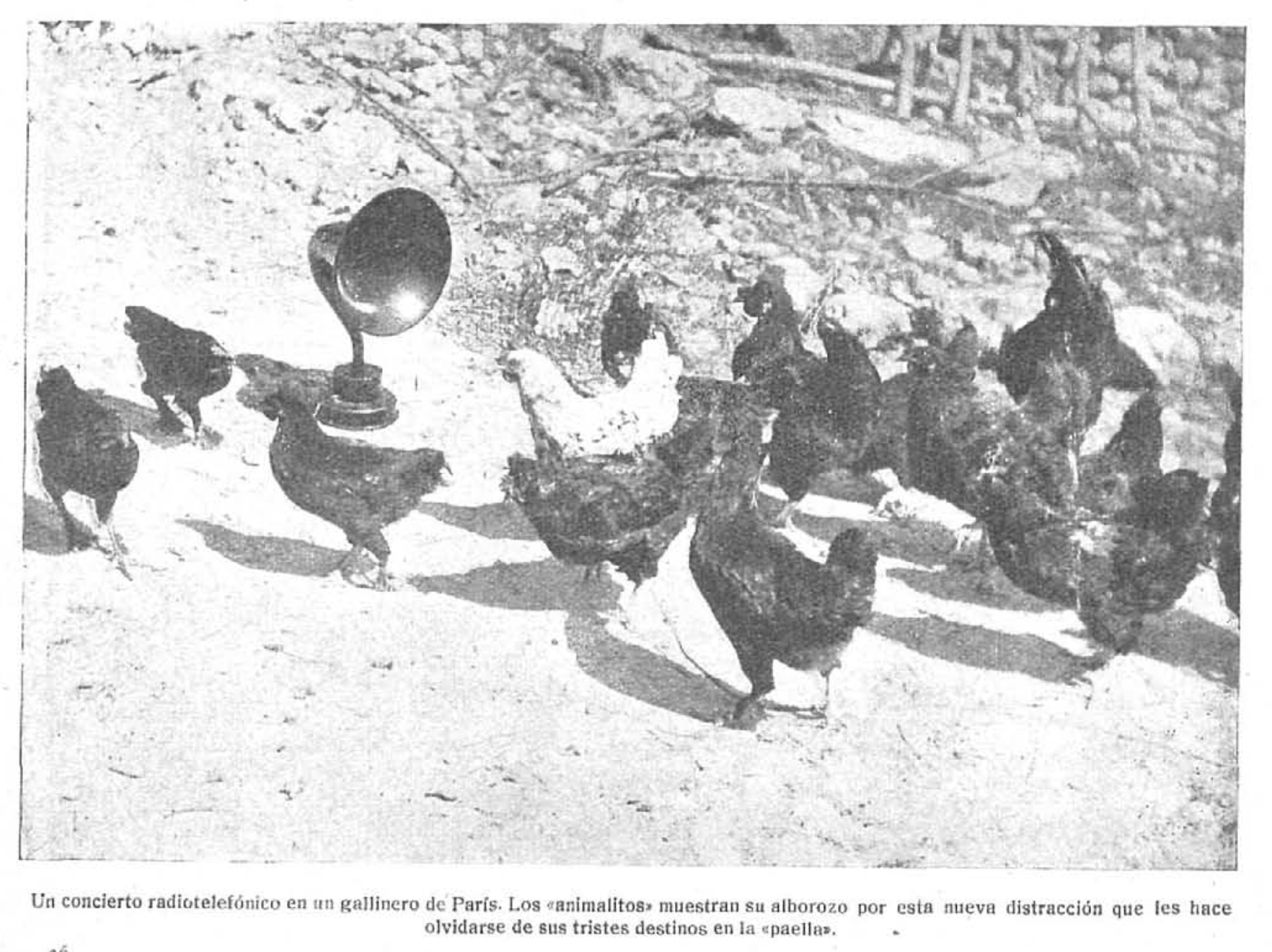Concierto a gallinas en un gallinero de París, 1926