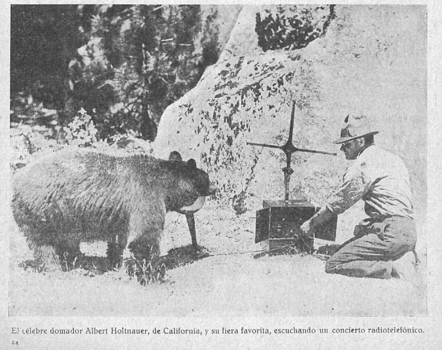 Un oso escuchando un concierto de radio, 1926