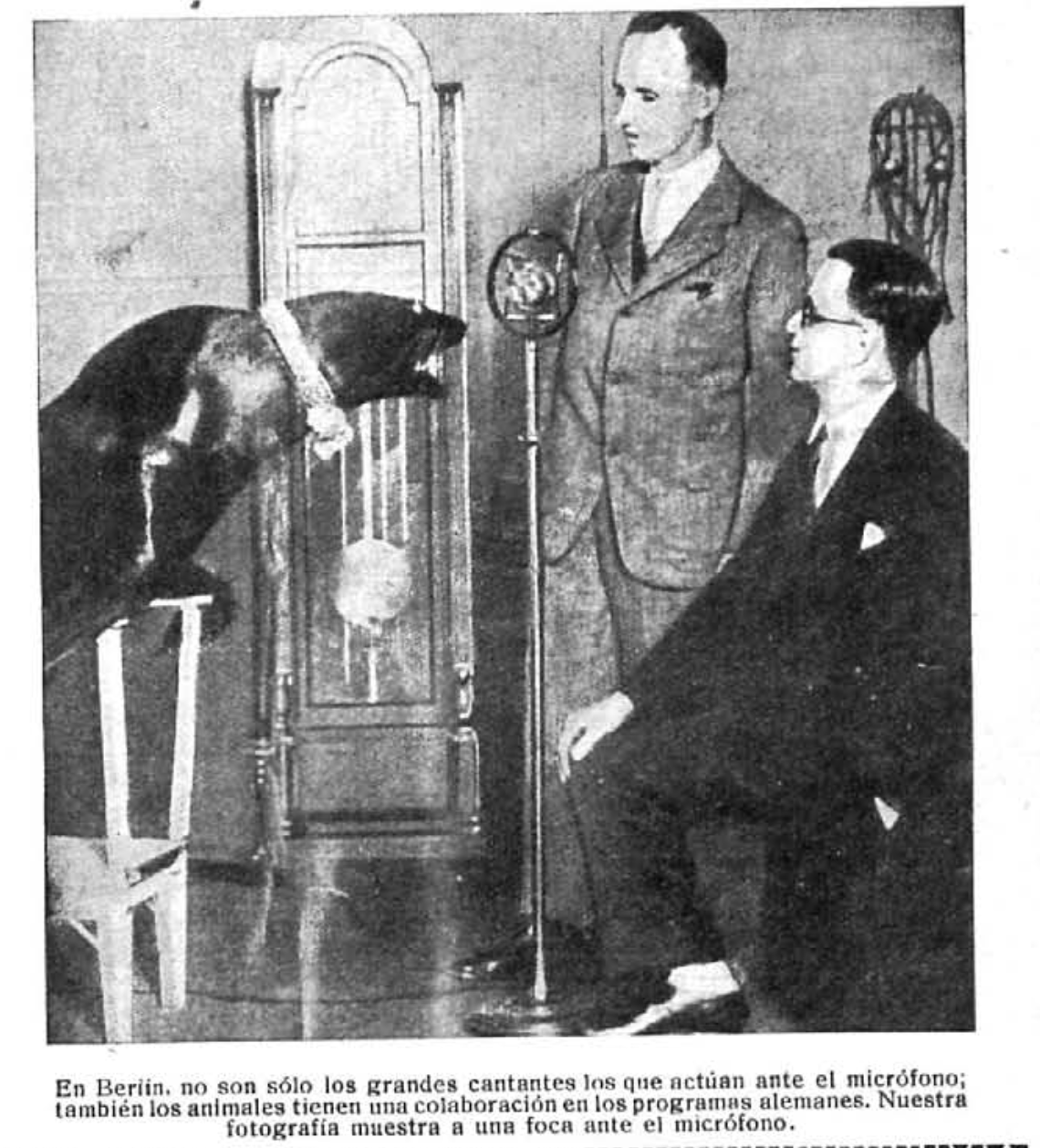 Una foca ante el micrófono en Berlín, 1927